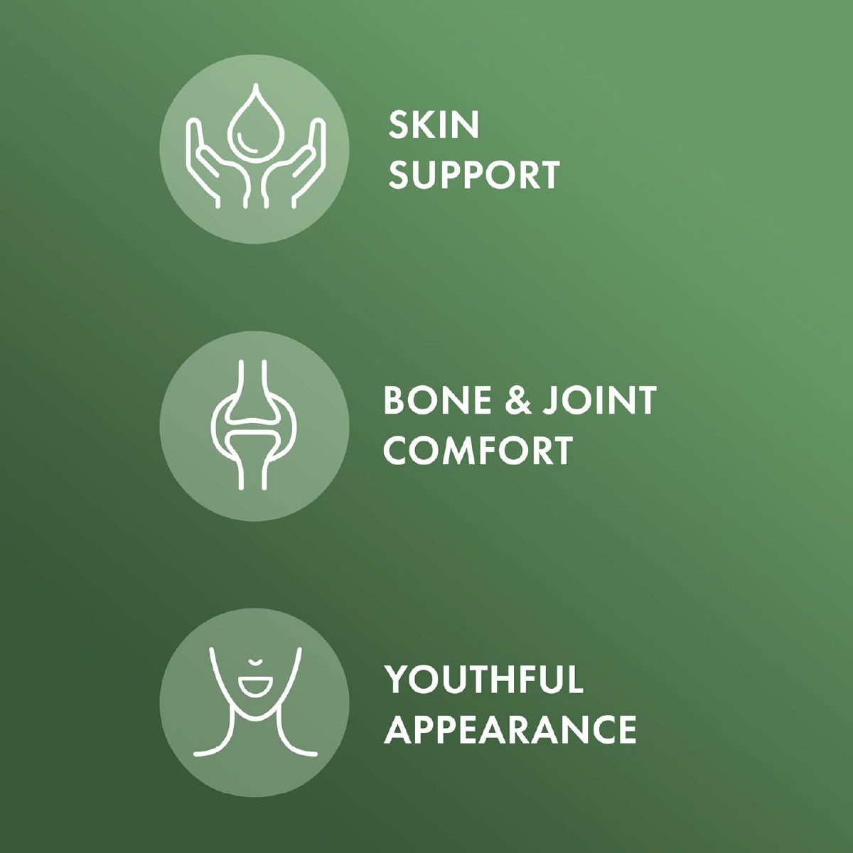 Dr. Mercola Organic Bone Broth Collagen 304.5 g Colágeno Orgánico sabor Vainilla