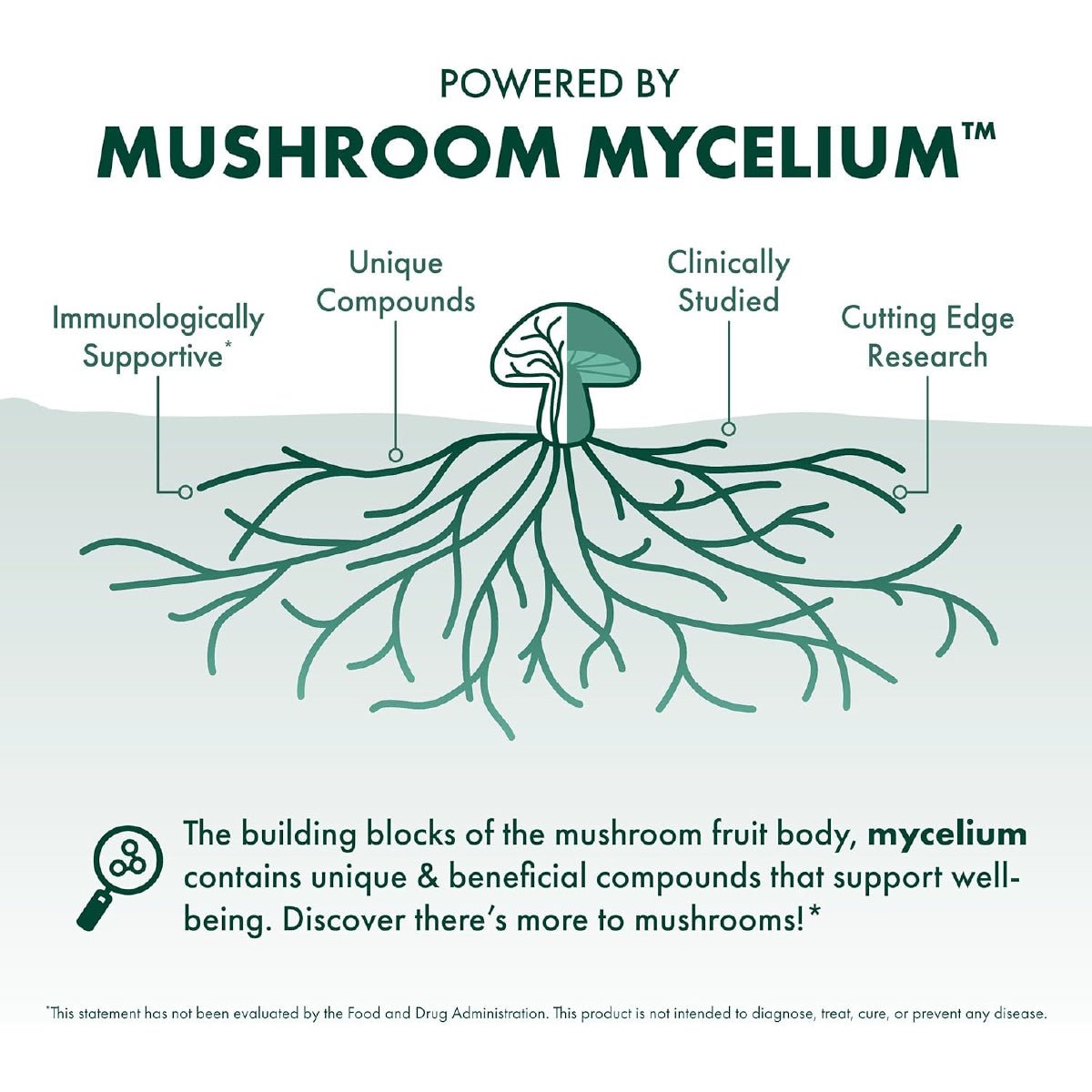 Host Defense MycoBotanicals Hígado 60 Cápsulas Apoyo Salud Hepática con Reishi Chaga y Cardo Mariano - Hi Vitamins