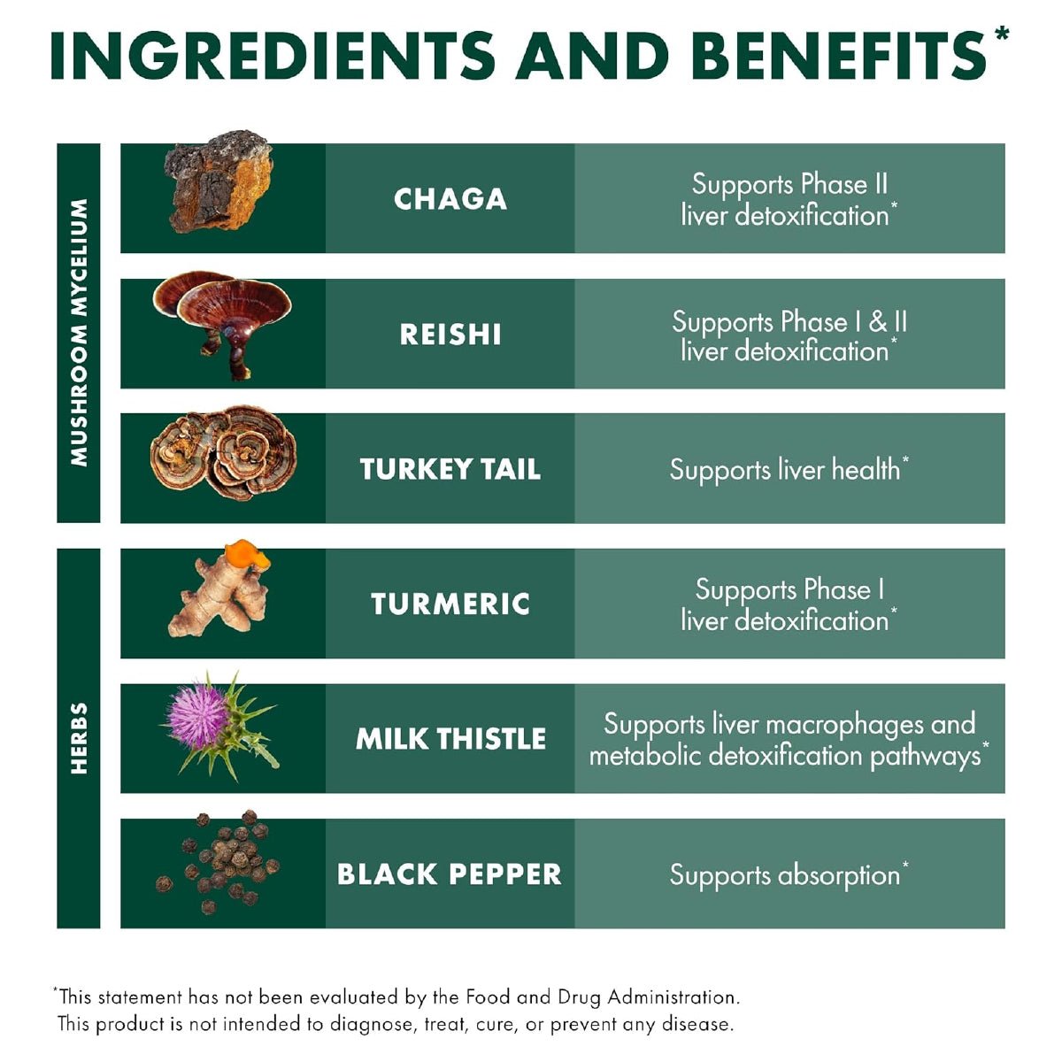 Host Defense MycoBotanicals Hígado 60 Cápsulas Apoyo Salud Hepática con Reishi Chaga y Cardo Mariano - Hi Vitamins