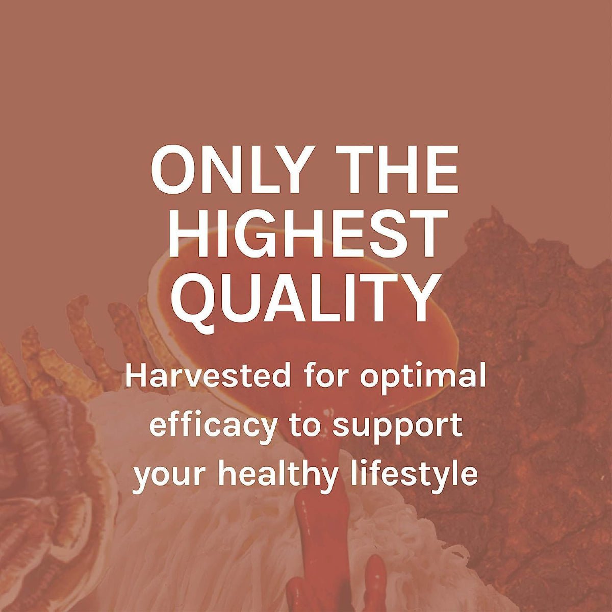 Host Defense MycoBotanicals Hígado 60 Cápsulas Apoyo Salud Hepática con Reishi Chaga y Cardo Mariano - Hi Vitamins