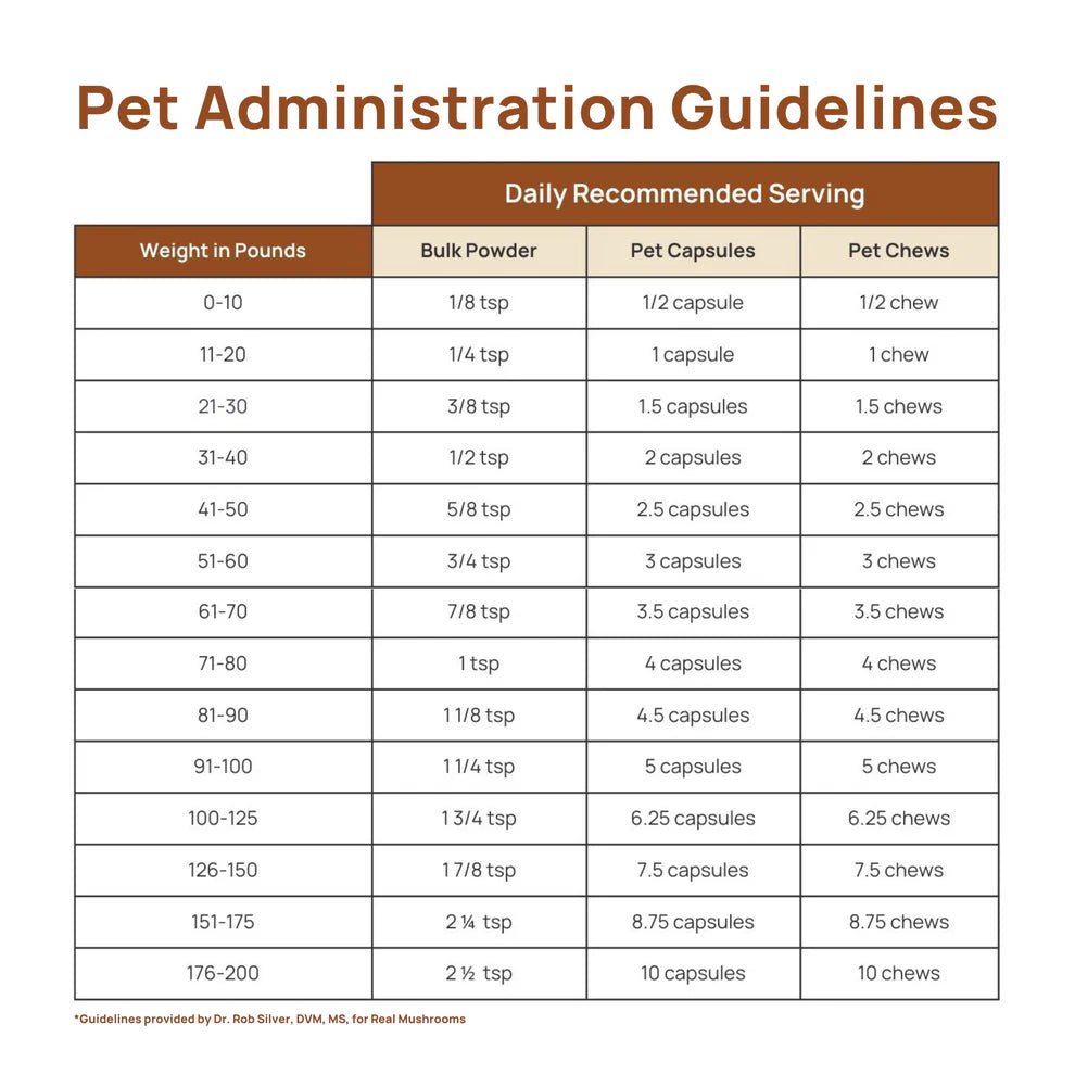 Real Mushrooms Relax para Mascostas 60 Chews - Hi Vitamins