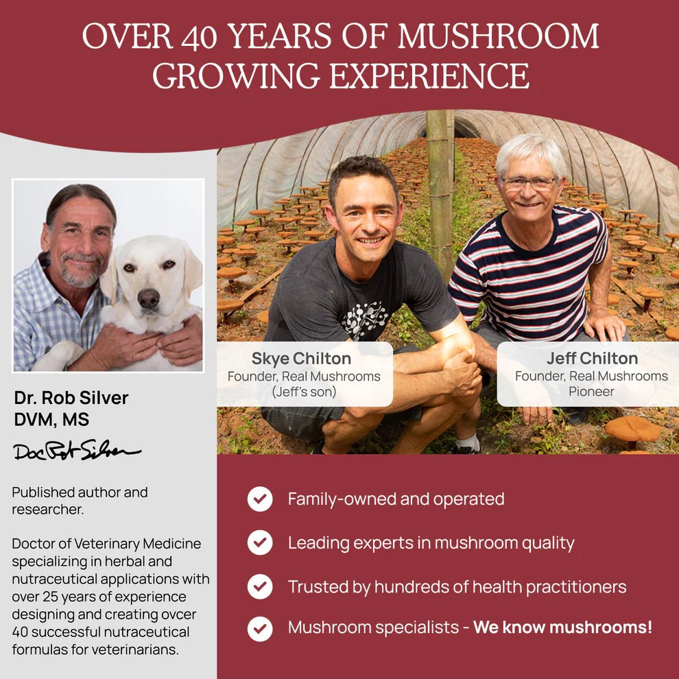 Real Mushrooms Relax para Mascostas 60 Chews - Hi Vitamins