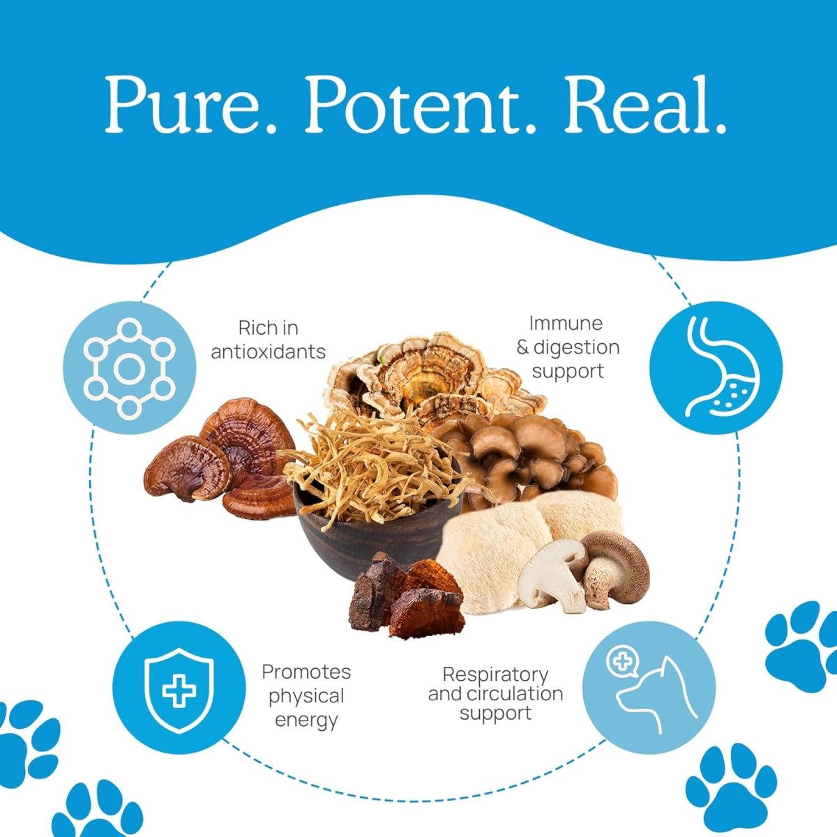 Real Mushrooms Daily Dawg Powder para Mascotas 30 Serving - Hi Vitamins