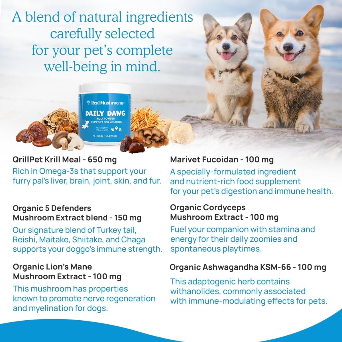 Real Mushrooms Daily Dawg Powder para Mascotas 30 Serving - Hi Vitamins