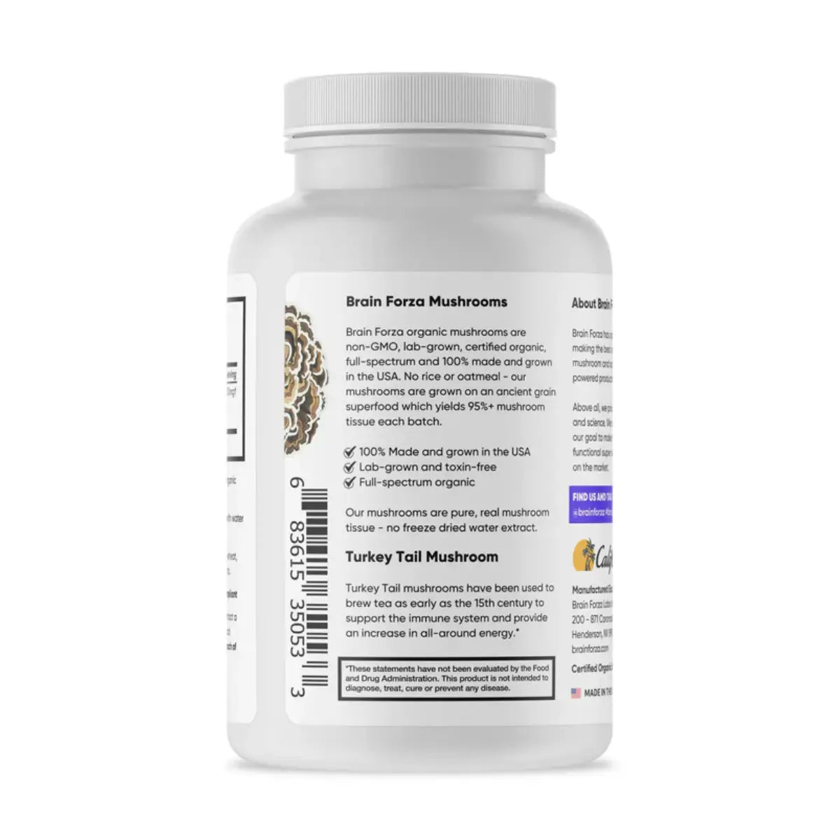 Brain Forza Turkey Tail Mushroom 90 cápsulas – Apoyo inmunológico - Hi Vitamins