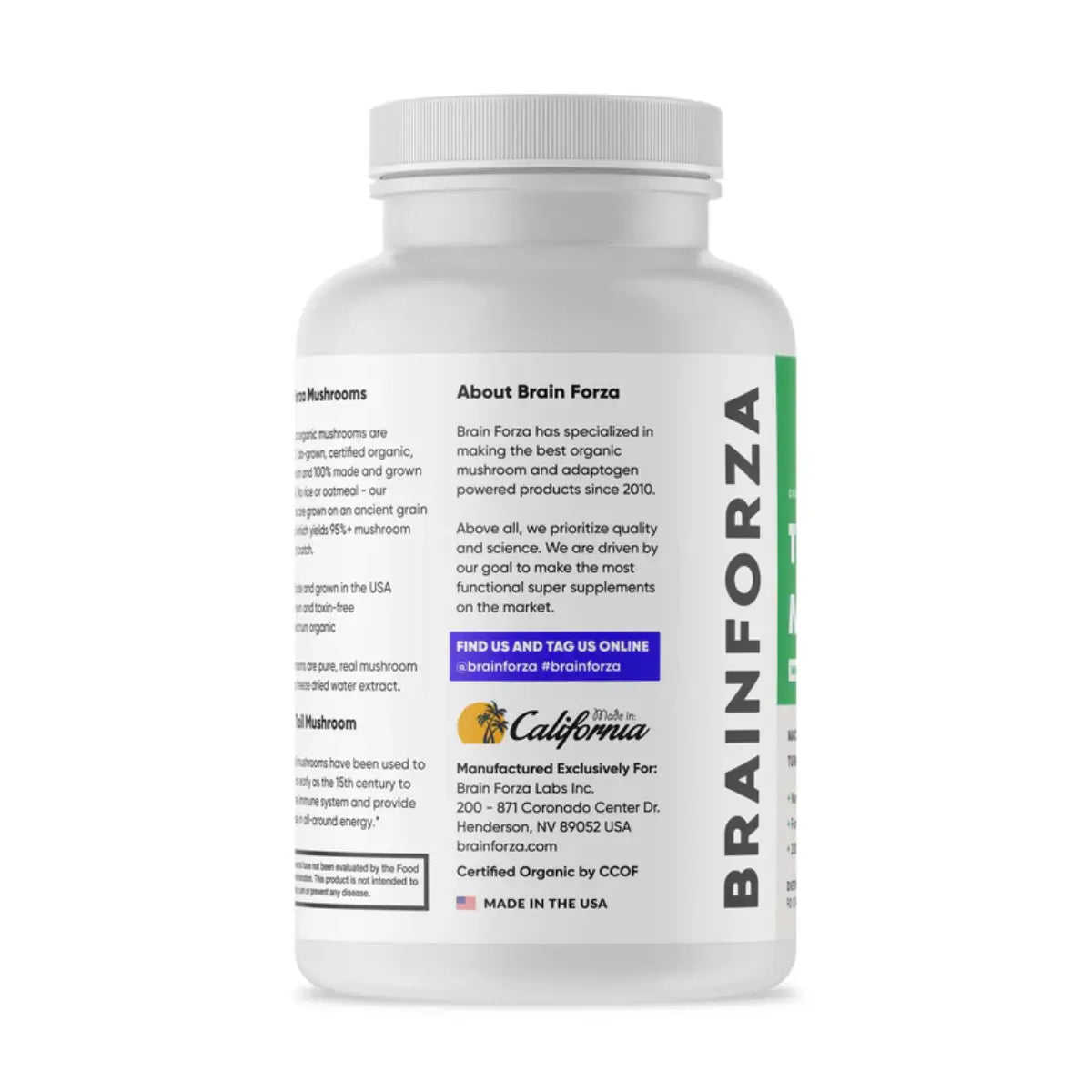 Brain Forza Turkey Tail Mushroom 90 cápsulas – Apoyo inmunológico - Hi Vitamins