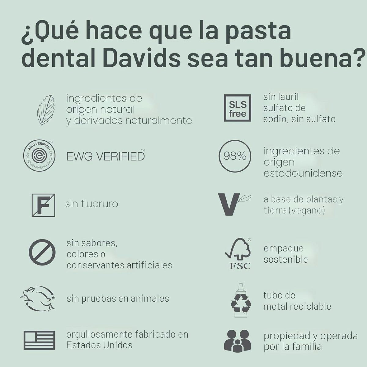 Davids Pasta Dental de Carbón 149 g Blanqueamiento Dental Natural Antiplaca y Frescura de Menta - Hi Vitamins