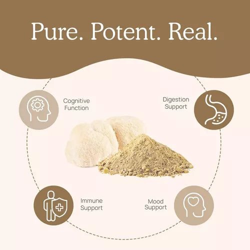 Real Mushrooms Lion's Mane Cognition 300 Cápsulas - Hi Vitamins