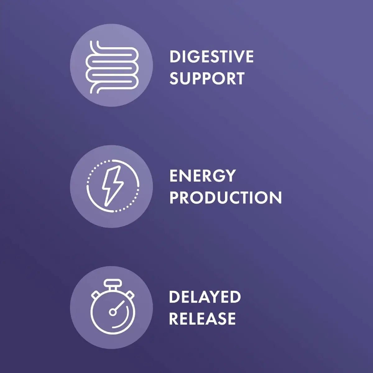 Dr. Mercola® Gallbladder Enzymes 30 Cápsulas - Hi Vitamins