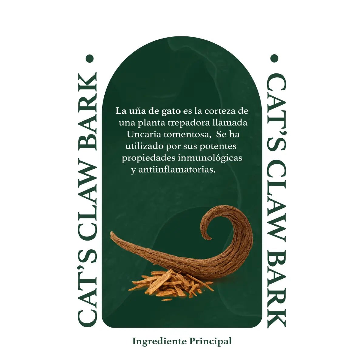 Herbal Secrets Cat's Claw Bark 120 Cápsulas - Hi Vitamins