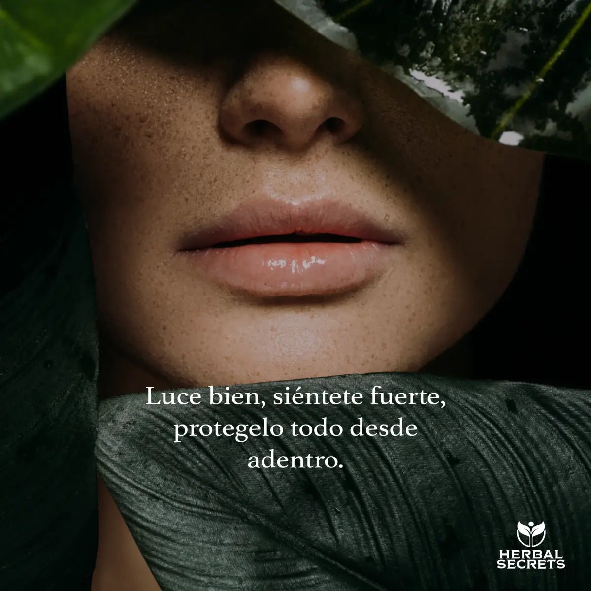 Herbal Secrets® Extracto de Semilla de Uva 400mg 120 Cápsulas - Hi Vitamins