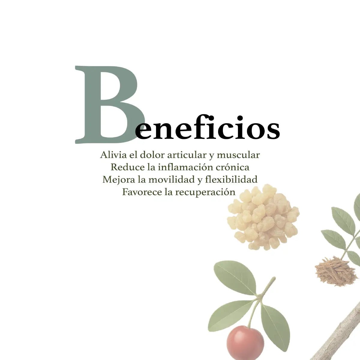 Herbal Secrets® Herbal Joint Care 120 Cápsulas - Hi Vitamins