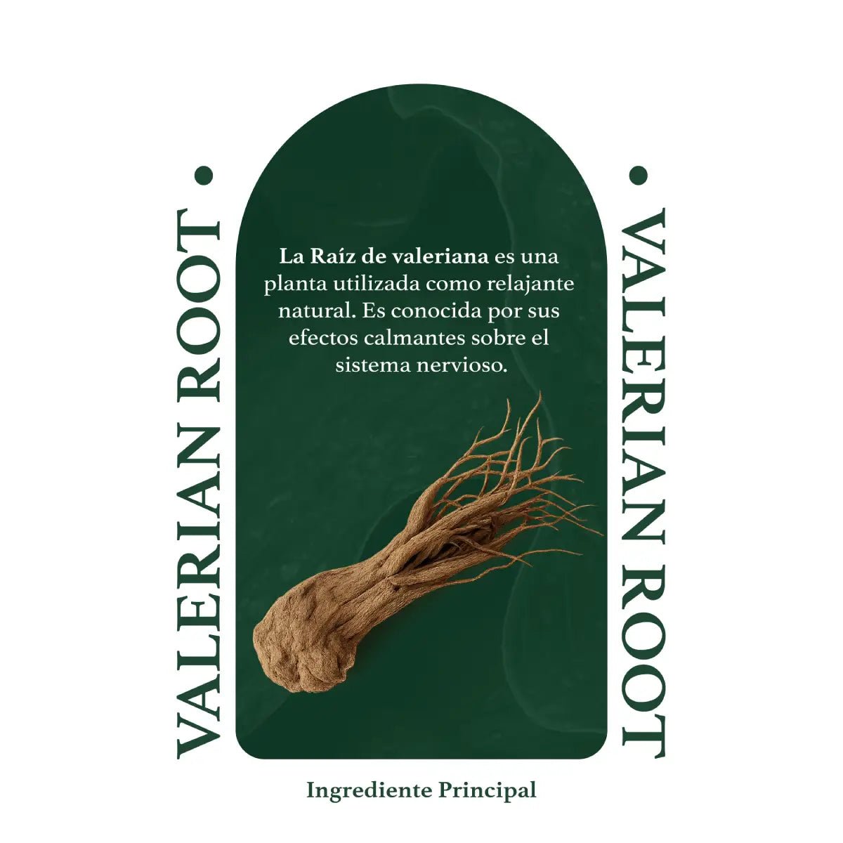 Herbal Secrets® Raíz de Valeriana 500mg 120 Cápsulas - Hi Vitamins