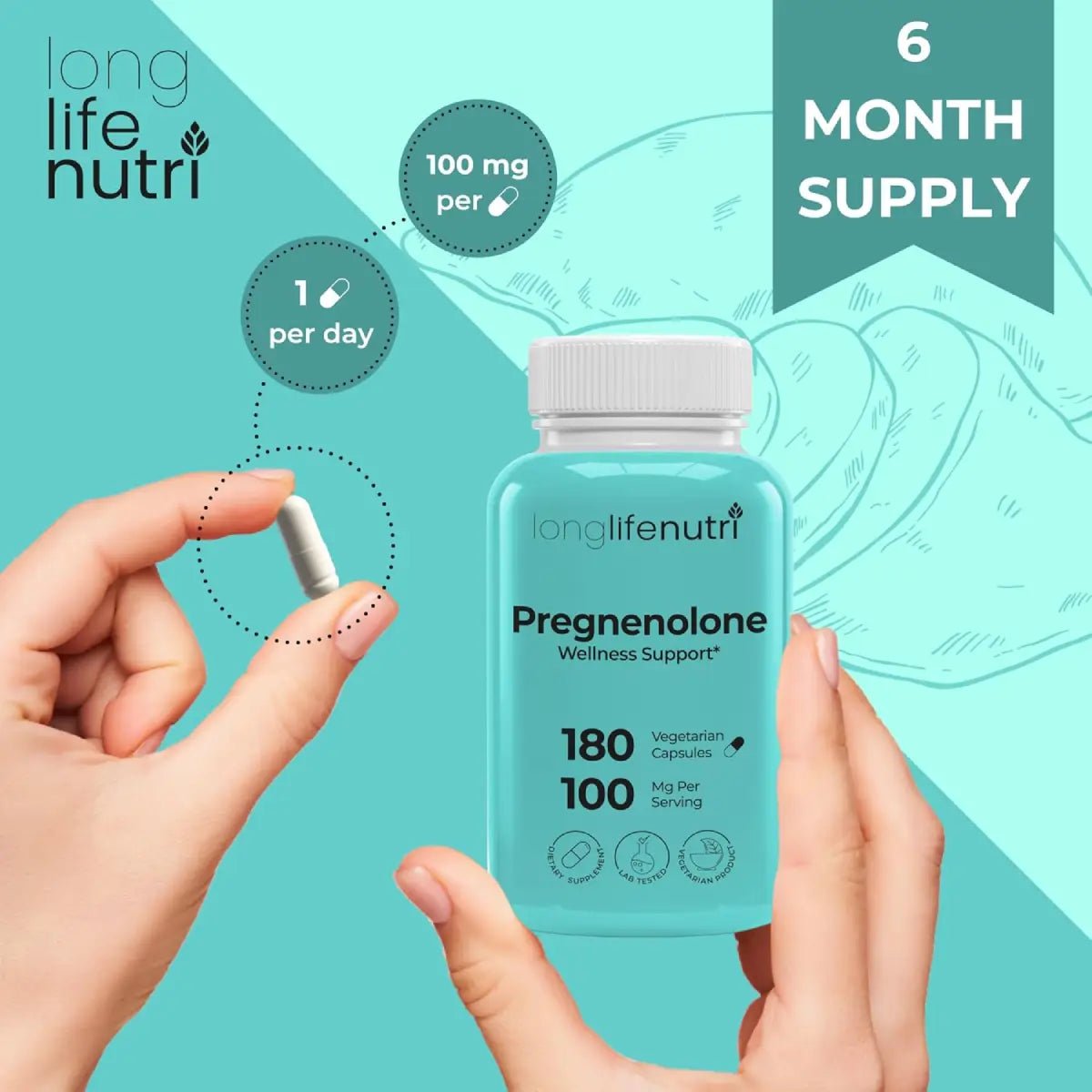 LongLifeNutri Pregnenolone 100 mg 180 Cápsulas - Hi Vitamins