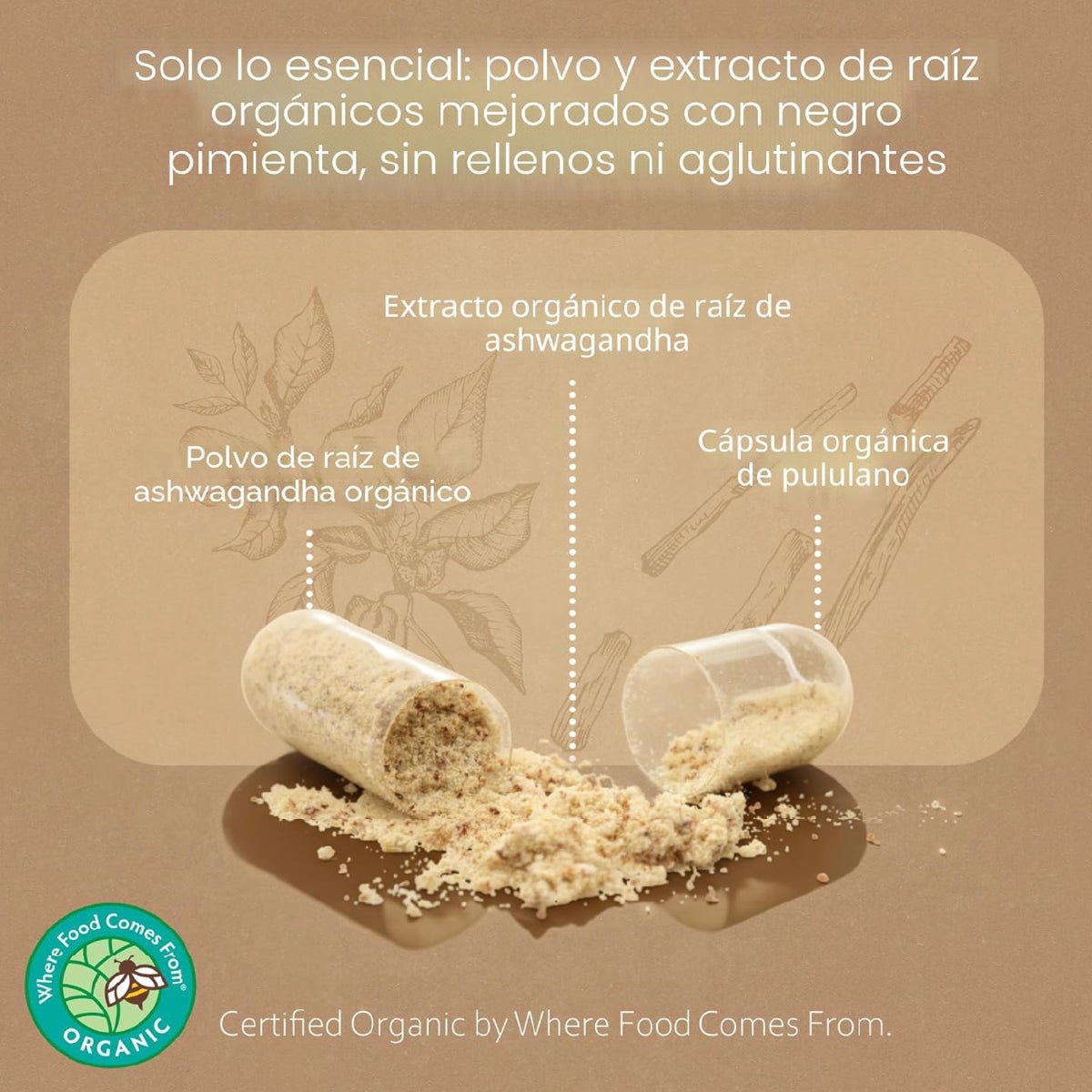 NaturaLife Labs Organic Ashwagandha 100 Cápsulas Extracto y Polvo de Raíz Apoyo al Estrés y Energía - Hi Vitamins