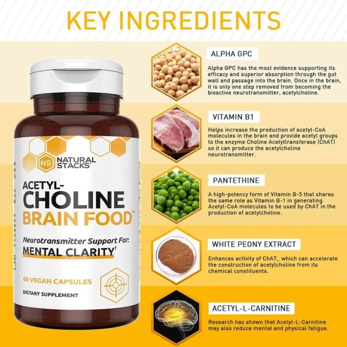 Natural Stacks® Acetyl - Choline Brain Food 60 Cápsulas - Hi Vitamins