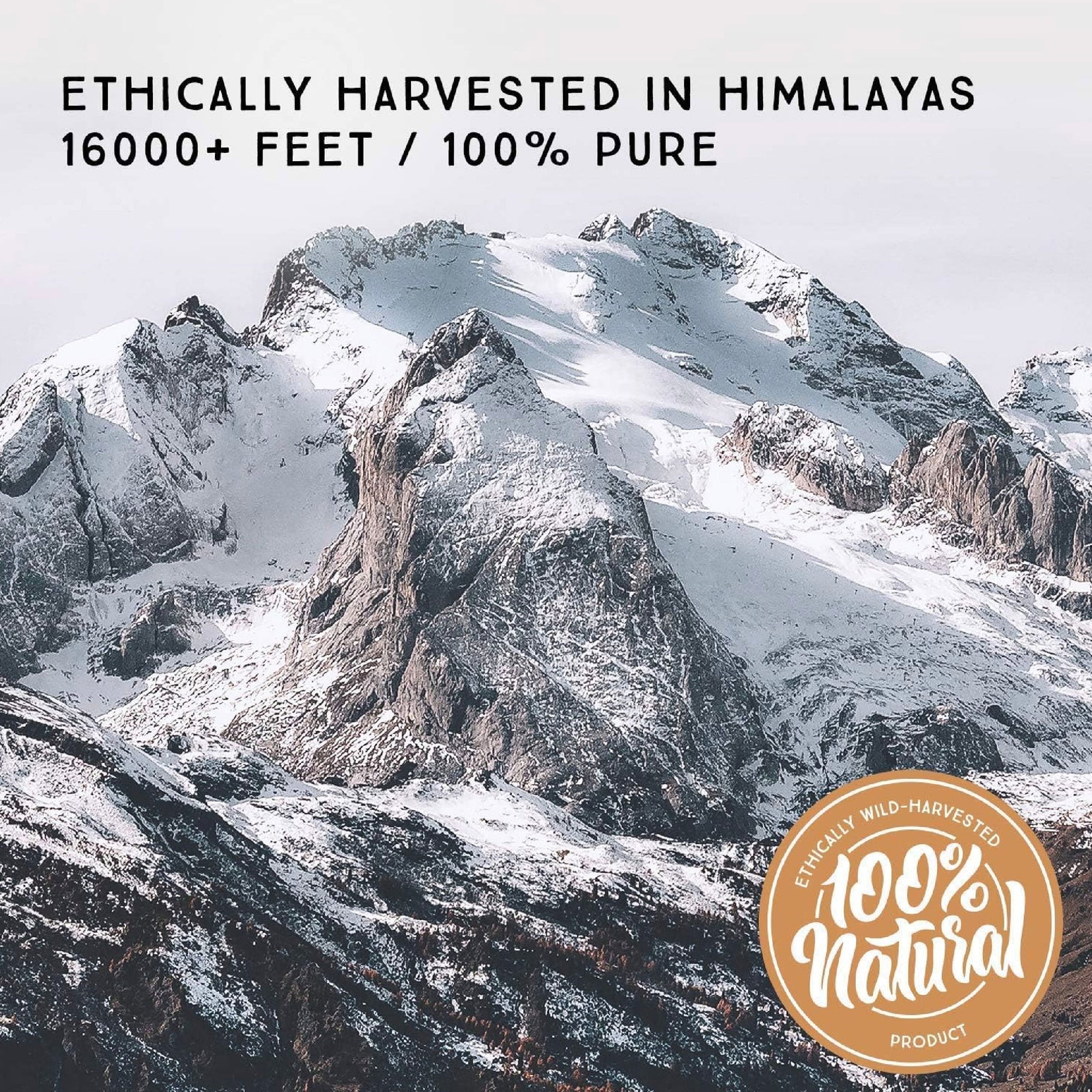 Pure Himalayan Shilajit Resina Sólida Original 8 g Ácido Fúlvico y 85+ Minerales Traza Apoyo Energía y Vitalidad