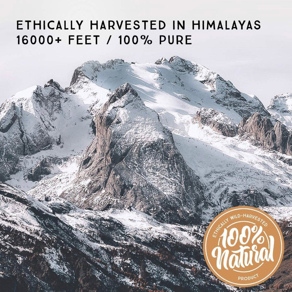 Pure Himalayan Shilajit Resina Sólida Original 8 g Ácido Fúlvico y 85+ Minerales Traza Apoyo Energía y Vitalidad - Hi Vitamins