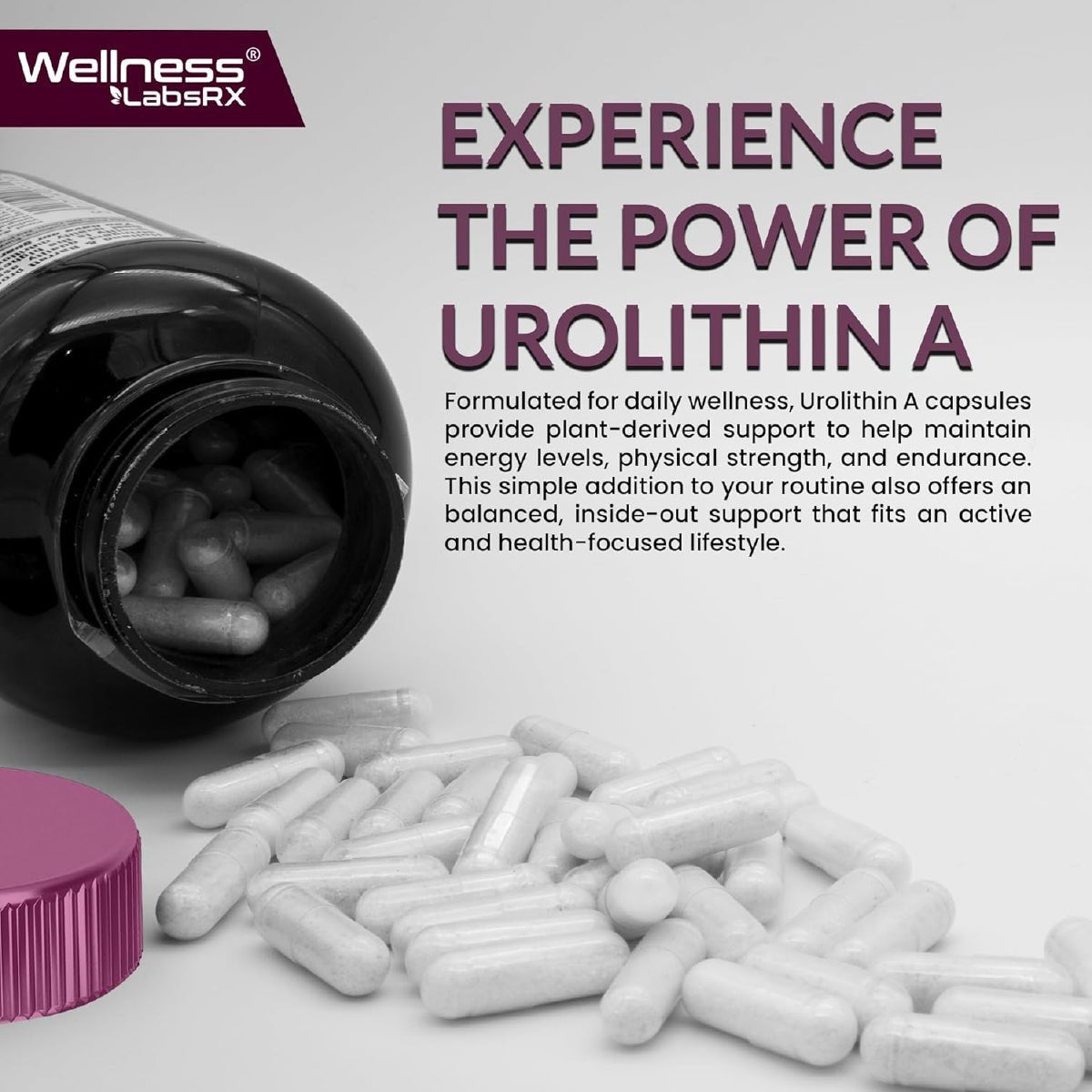 Wellness LabsRx Urolitina A 1000 mg 120 Cápsulas Apoyo Energía Celular Salud Muscular y Función Mitocondrial - Hi Vitamins
