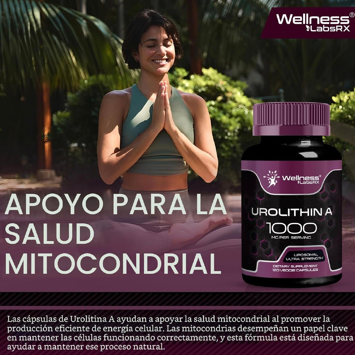 Wellness LabsRx Urolitina A 1000 mg 120 Cápsulas Apoyo Energía Celular Salud Muscular y Función Mitocondrial - Hi Vitamins