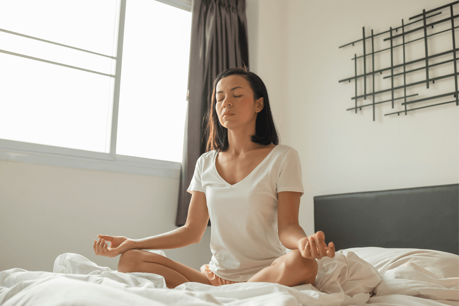 ¿La ashwagandha es para ti? Señales de que tu cuerpo podría necesitarla - Hi Vitamins