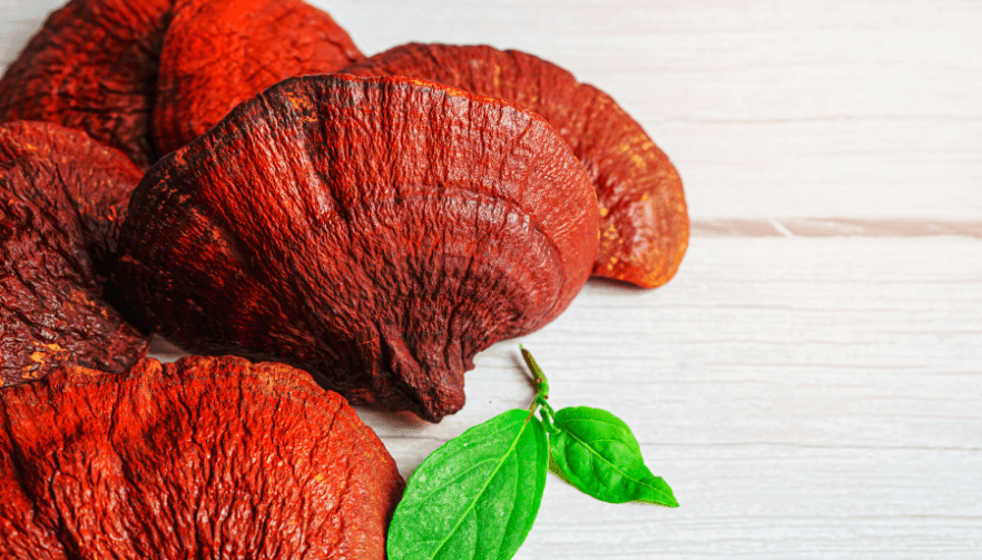 Reishi y tu corazón: 4 beneficios clave para la salud cardiovascular - Hi Vitamins