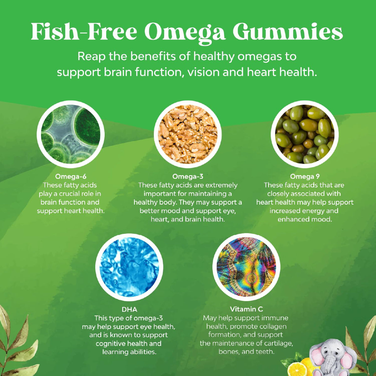 Nature's Craft Omega 3 DHA para Niños 60 Gomitas Apoyo Cerebro, Visión, Sistema Inmune y Enfoque
