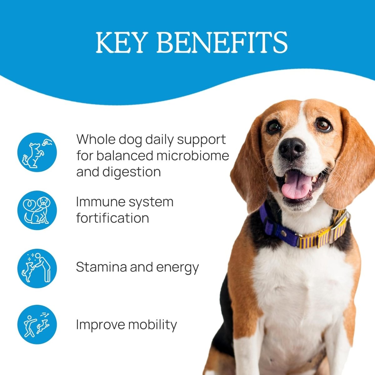 Real Mushrooms Daily Dawg Powder para Mascotas 30 Serving - Hi Vitamins