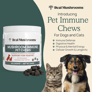 REAL MUSHROOMS MUSHROOM IMMUNE FOR PETS 60 SOFT CHEWS