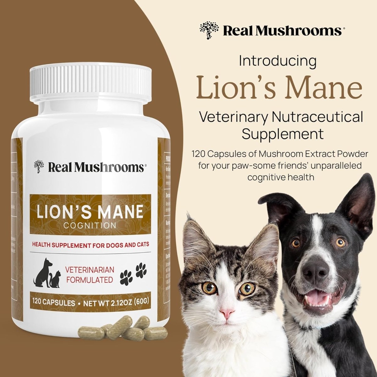 Real Mushrooms Melena de León para Mascotas 120 Cápsulas - Hi Vitamins