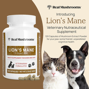 REAL MUSHROOMS LIONS MANE FOR PETS 120 CAPSULES