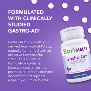 BARIMELTS GASTRO ZEN 60 CHEWABLE TABLETS