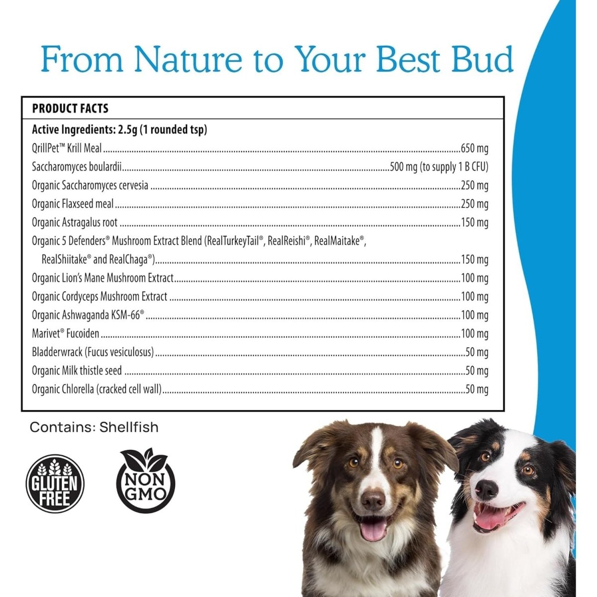 Real Mushrooms Daily Dawg Powder para Mascotas 30 Serving - Hi Vitamins