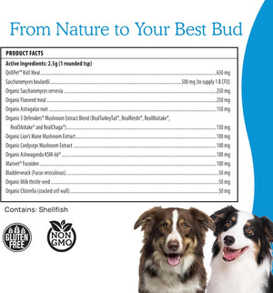 REAL MUSHROOMS DAILY DAWG POWDER FOR PETS 30 SERVING