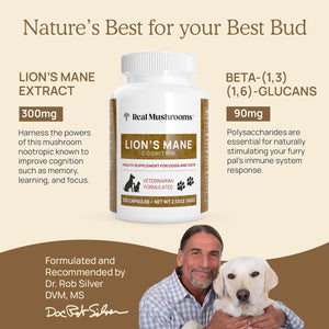 REAL MUSHROOMS LIONS MANE FOR PETS 120 CAPSULES