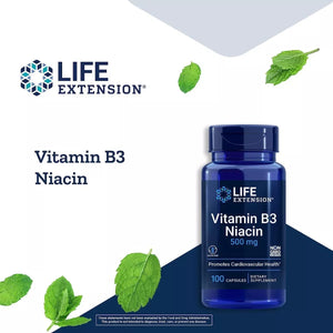 LIFE EXTENSION VITAMIN B3 NIACIN 500 MG 100 CAPSULES