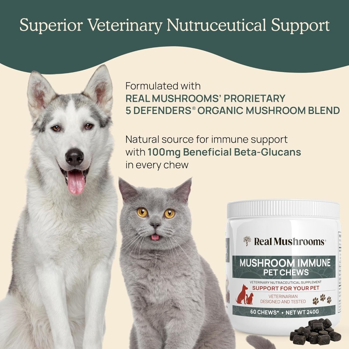 Real Mushrooms Immune para Mascotas 60 Soft Chews - Hi Vitamins