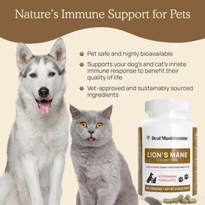 REAL MUSHROOMS LIONS MANE FOR PETS 120 CAPSULES