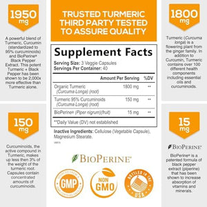 NATURES NUTRITION TURMERIC & GINGER 1950 MG 120 CAPSULAS