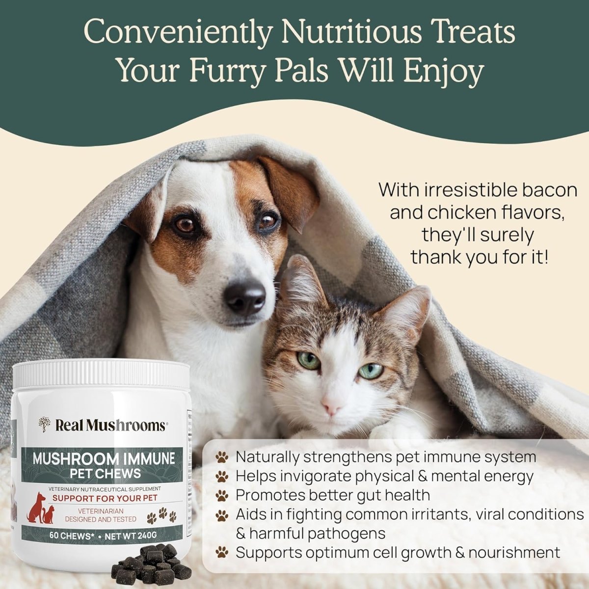 Real Mushrooms Immune para Mascotas 60 Soft Chews - Hi Vitamins