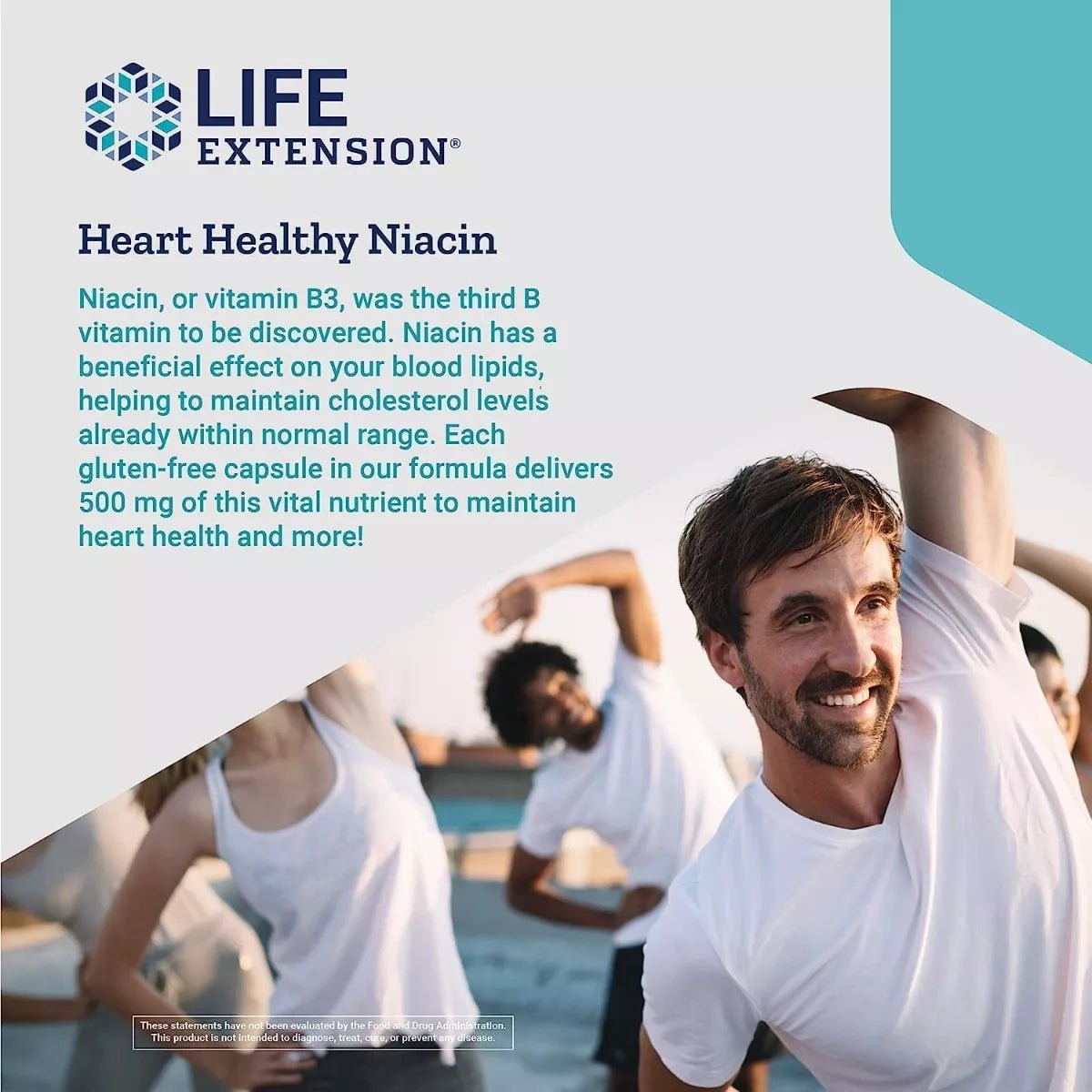 LIFE EXTENSION VITAMIN B3 NIACIN 500 MG 100 CAPSULES - Hi Vitamins