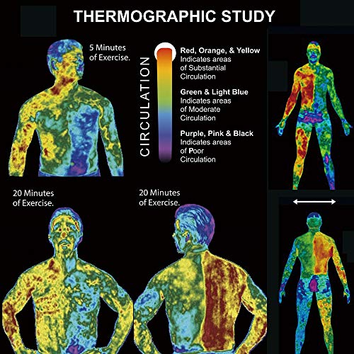 Elamei Sweat & Fat Burning Cream 12 Grs 10 Sobres - Hi Vitamins