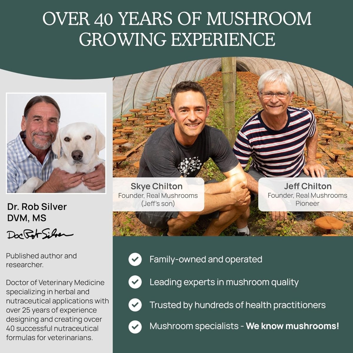 Real Mushrooms Immune para Mascotas 60 Soft Chews - Hi Vitamins