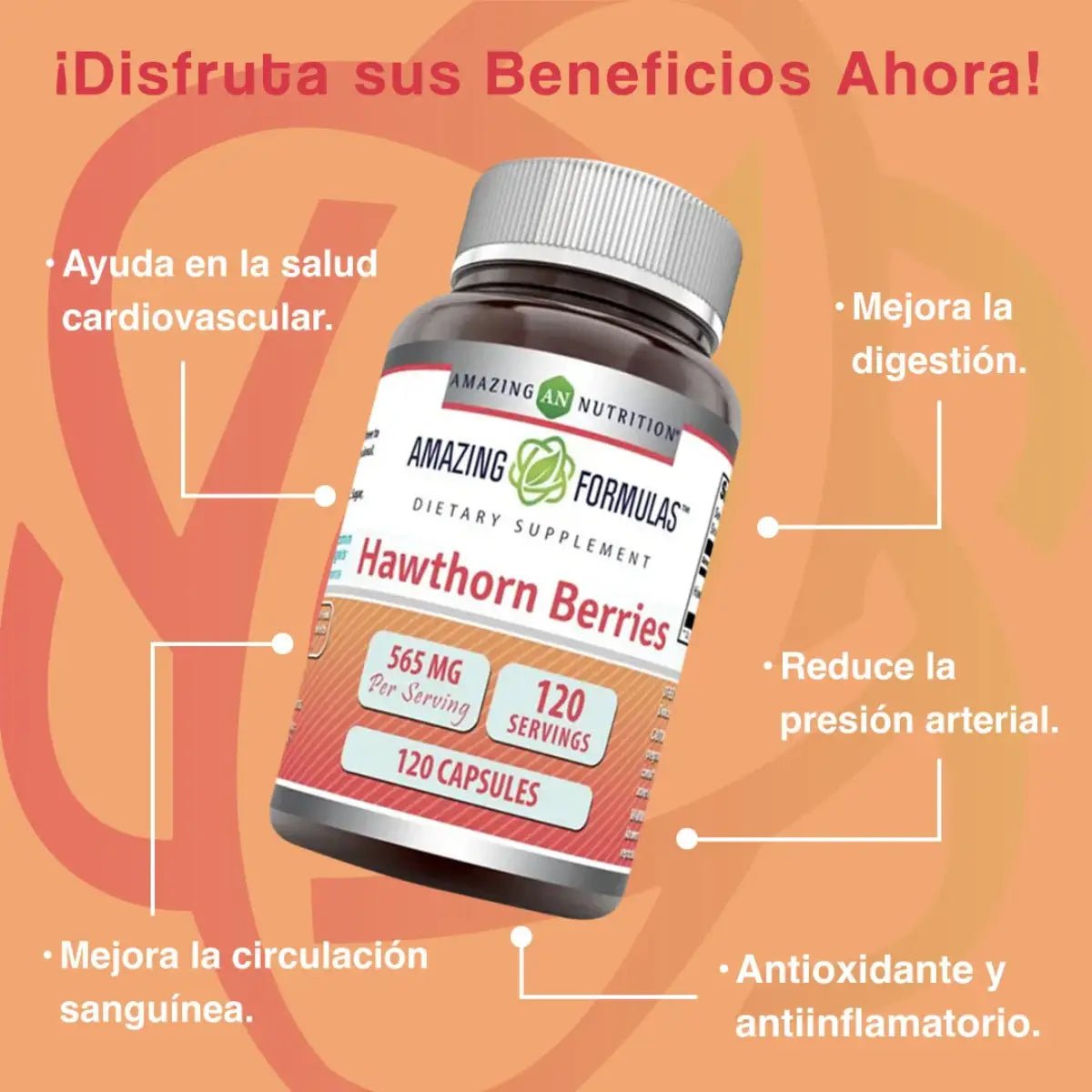 Amazing Formulas Bayas de Espino 565mg 120 Cápsulas - Hi Vitamins