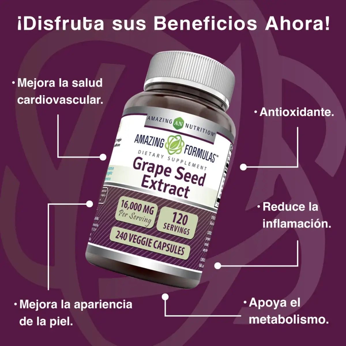 Amazing Formulas Extracto de Semilla de Uva 16000 Mg 240 Cápsulas - Hi Vitamins