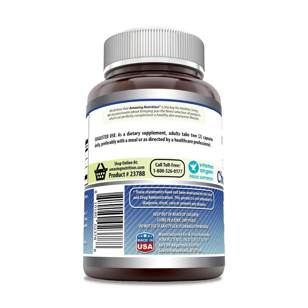 Amazing Nutrition Glucosamina Condroitina MSM 240 Cápsulas - Hi Vitamins