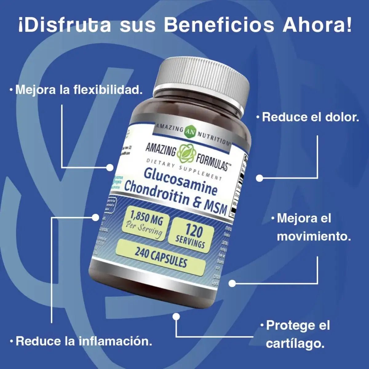 Amazing Nutrition Glucosamina Condroitina MSM 240 Cápsulas - Hi Vitamins