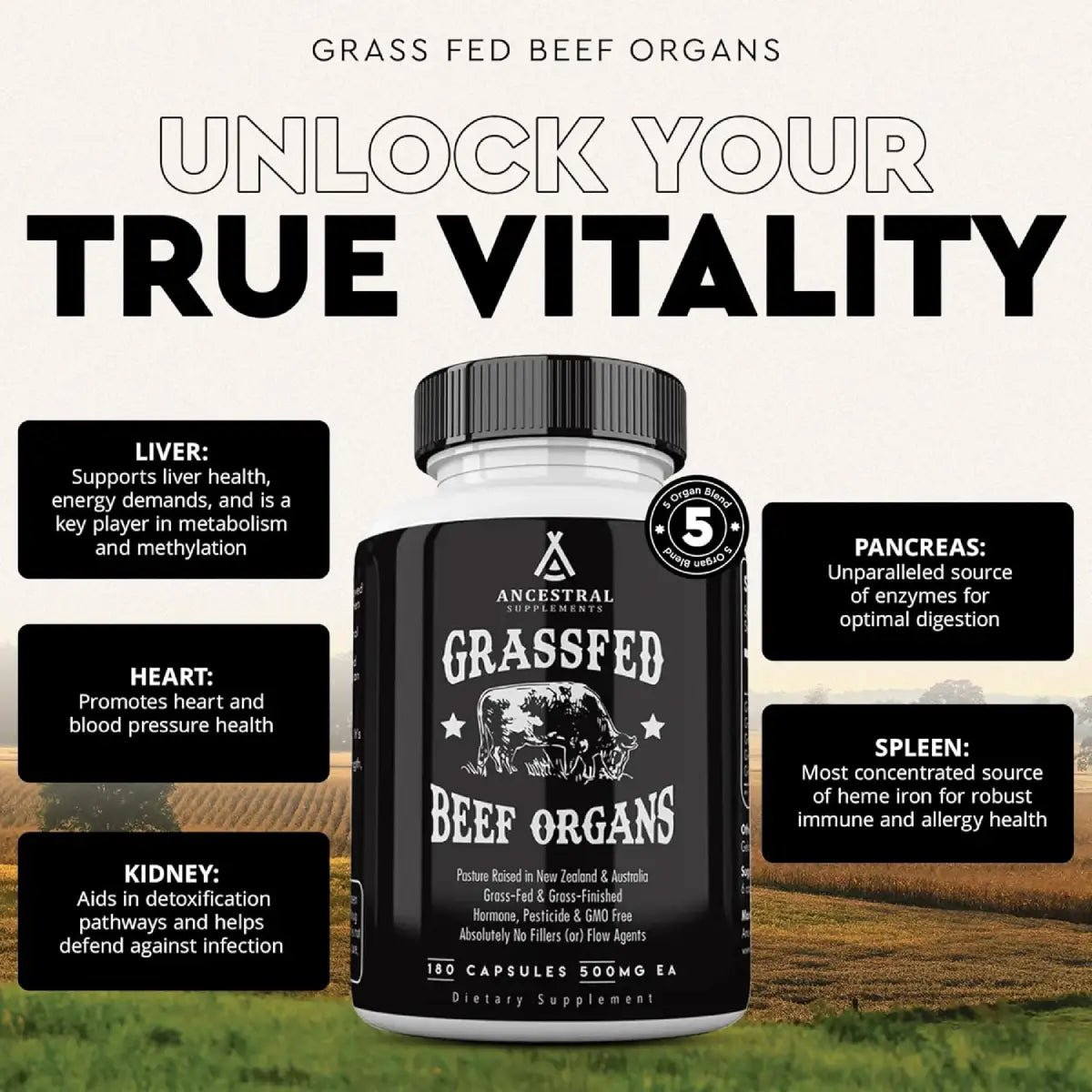Ancestral Supplements® Grass - Fed Beef Liver 500 mg EA 180 Cápsulas - Hi Vitamins
