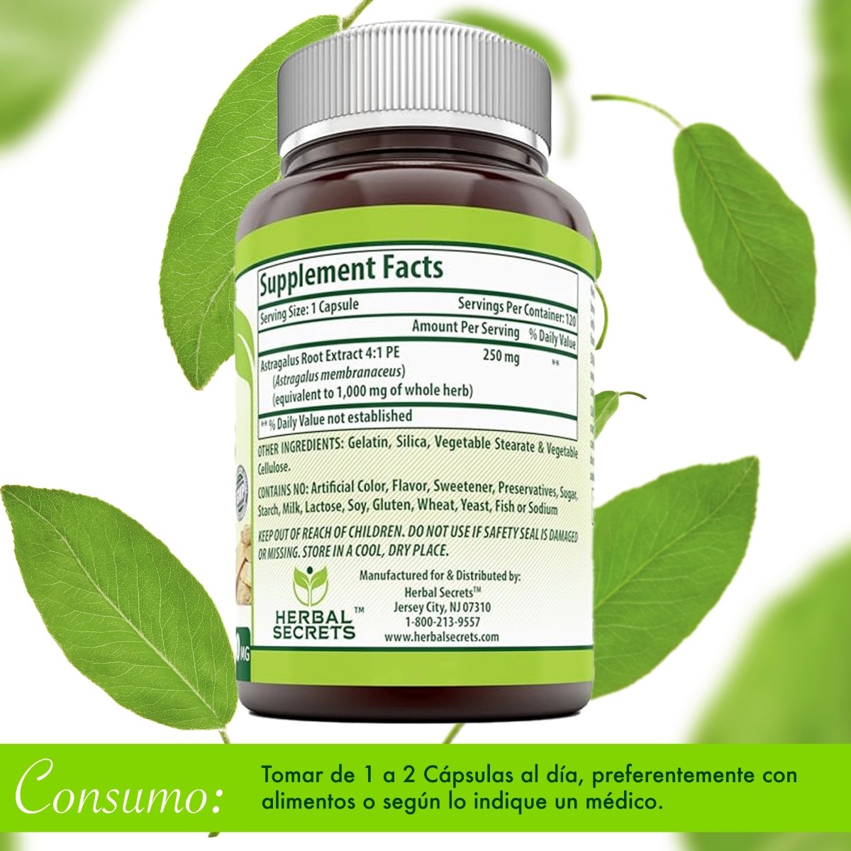 Herbal Secrets® Astragalus 1000mg 120 Cápsulas - Hi Vitamins