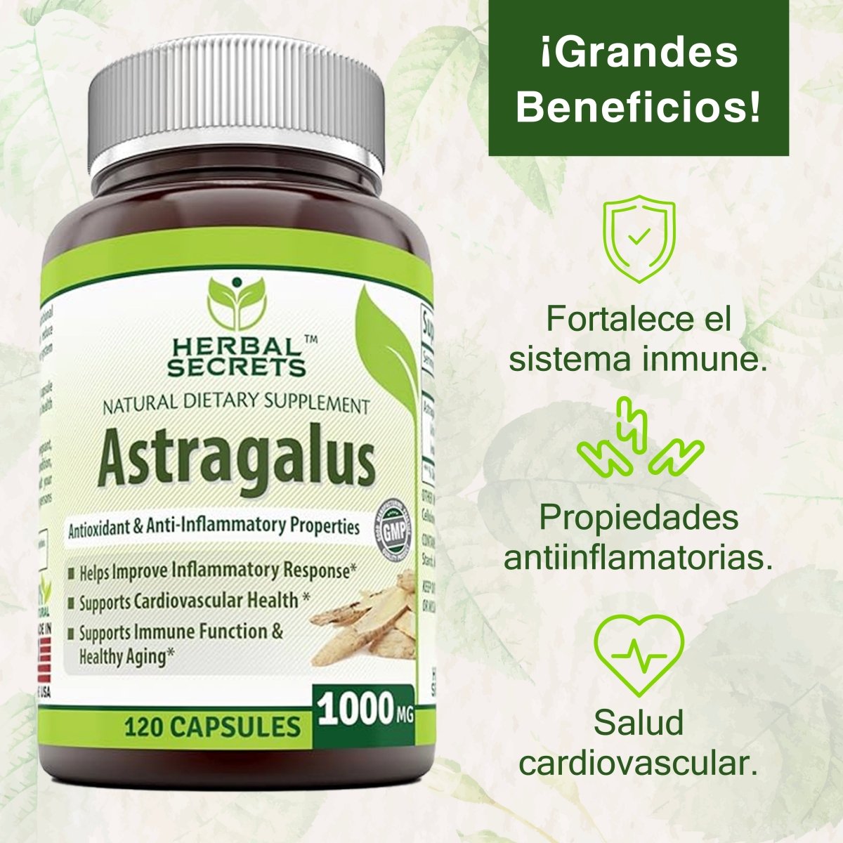 Herbal Secrets® Astragalus 1000mg 120 Cápsulas - Hi Vitamins